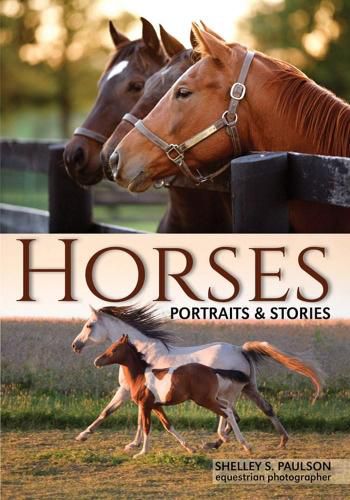 Cover image for Horses: A Visual Essay