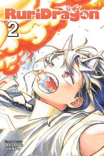 Cover image for RuriDragon, Vol. 2: Volume 2