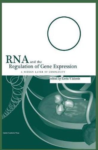 Cover image for RNA and the Regulation of Gene Expression: A Hidden Layer of Complexity