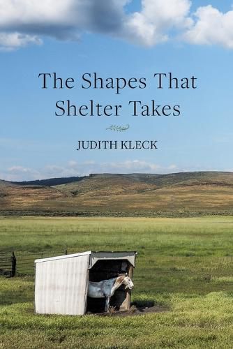 Cover image for The Shapes That Shelter Takes