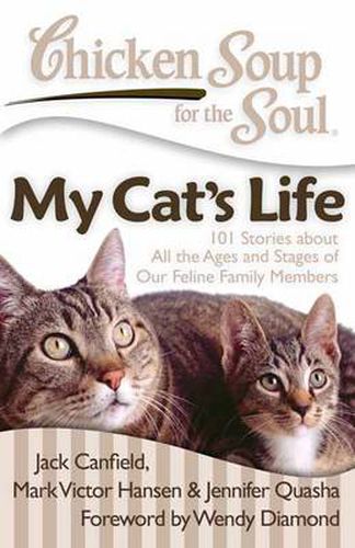 Cover image for Chicken Soup for the Soul: My Cat's Life: 101 Stories about All the Ages and Stages of Our Feline Family Members