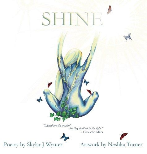 Cover image for Shine