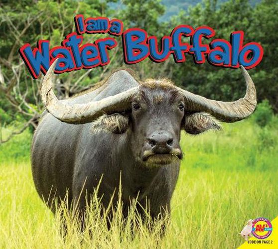 I Am a Water Buffalo