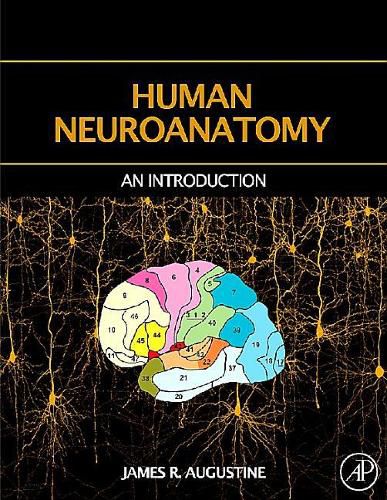 Cover image for Human Neuroanatomy