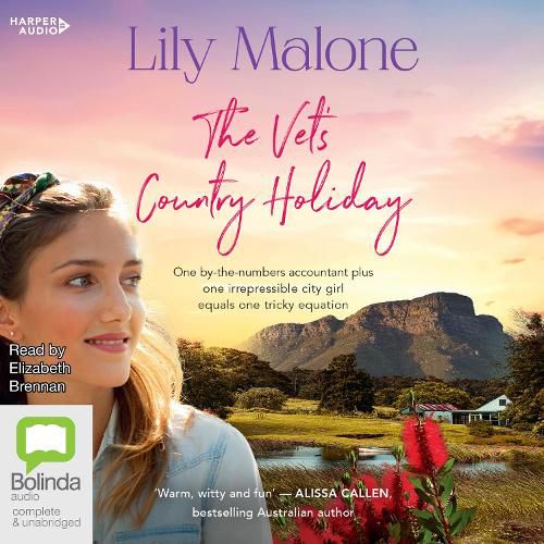 Cover image for The Vet's Country Holiday