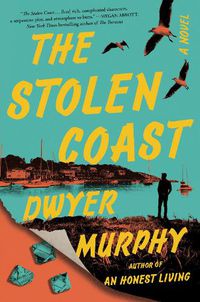 Cover image for The Stolen Coast
