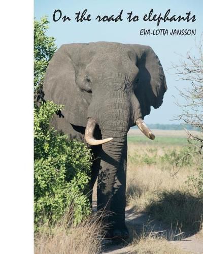 Cover image for On the road to elephants