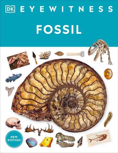 Cover image for Eyewitness Fossil