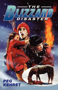 Cover image for The Blizzard Disaster