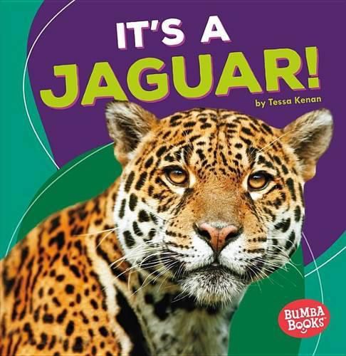 Its a Jaguar