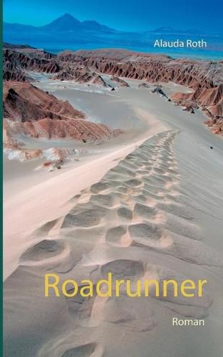 Cover image for Roadrunner