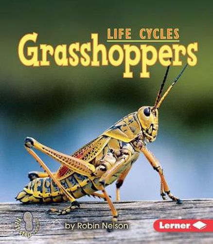 Cover image for Grasshoppers