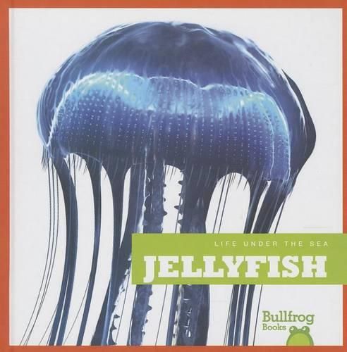 Cover image for Jellyfish