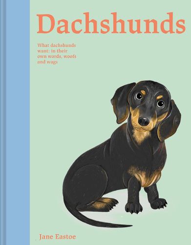 Cover image for Dachshunds: Volume 4