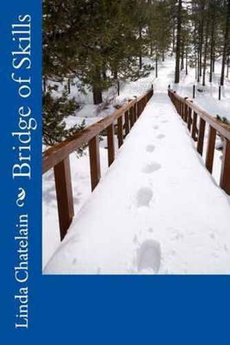 Cover image for Bridges of Skills