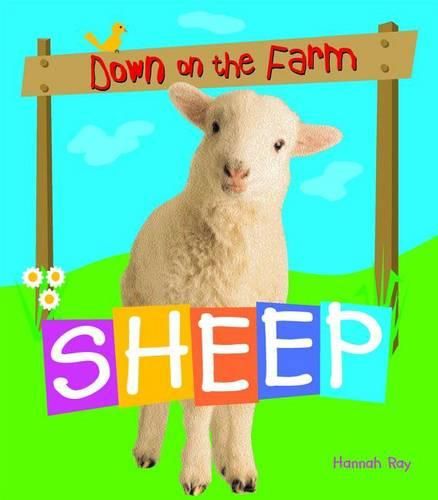 Cover image for Sheep