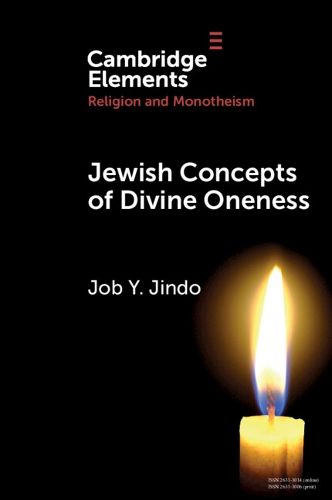 Cover image for Jewish Concepts of Divine Oneness