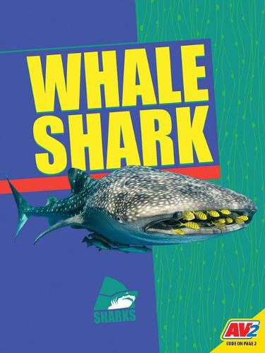 Cover image for Whale Shark