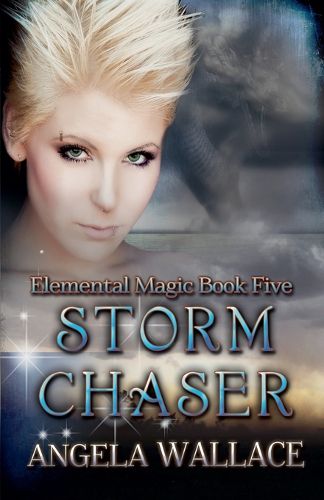 Cover image for Storm Chaser