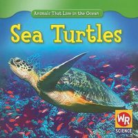 Cover image for Sea Turtles