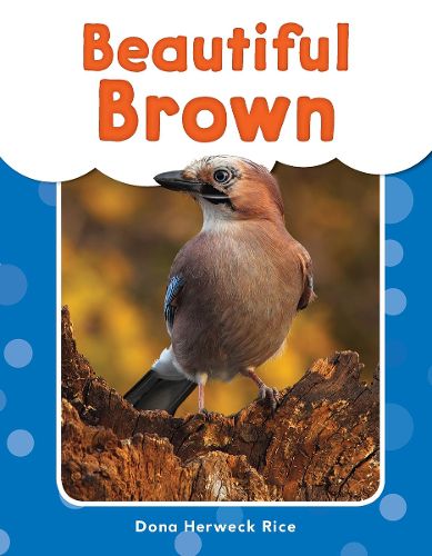 Cover image for Beautiful Brown