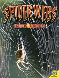 Cover image for Spider Webs