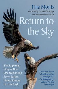 Cover image for Return to the Sky