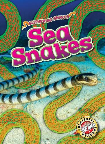 Cover image for Sea Snakes