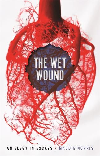 Cover image for The Wet Wound