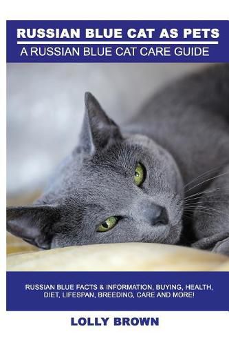 Russian Blue Cats as Pets: Russian Blue Facts & Information, buying, health, diet, lifespan, breeding, care and more! A Russian Blue Cat Care Guide