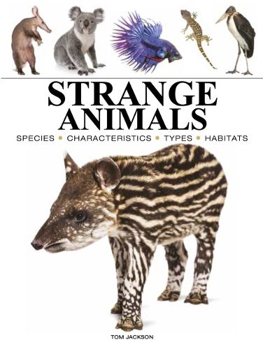 Cover image for Strange Animals