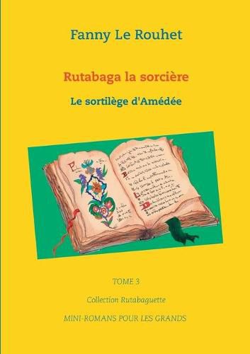 Cover image for Rutabaga la sorciere: Le sortilege d'Amedee