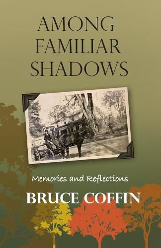Cover image for Among Familiar Shadows