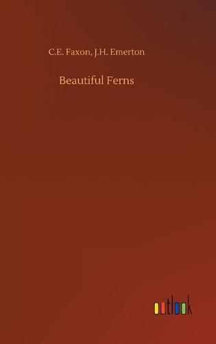 Cover image for Beautiful Ferns