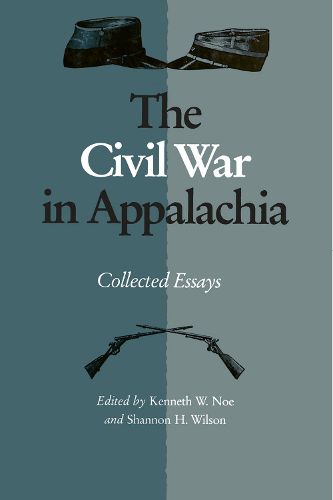 Cover image for The Civil War in Appalachia: Collected Essays