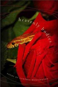 Cover image for Heavenly Bodies