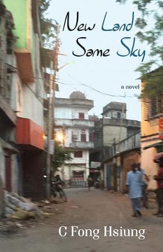 Cover image for New Land Same Sky