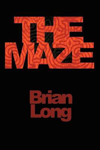 Cover image for The Maze