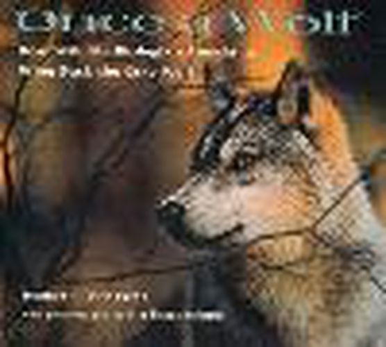 Cover image for Once A Wolf