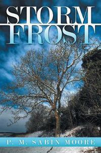 Cover image for Storm Frost