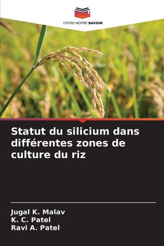 Cover image for Statut du silicium dans differentes zones de culture du riz