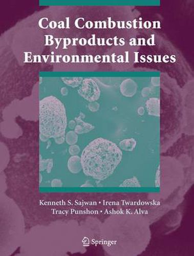 Cover image for Coal Combustion Byproducts and Environmental Issues
