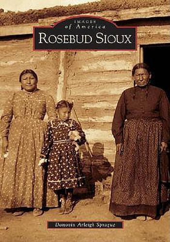 Cover image for Rosebud Sioux