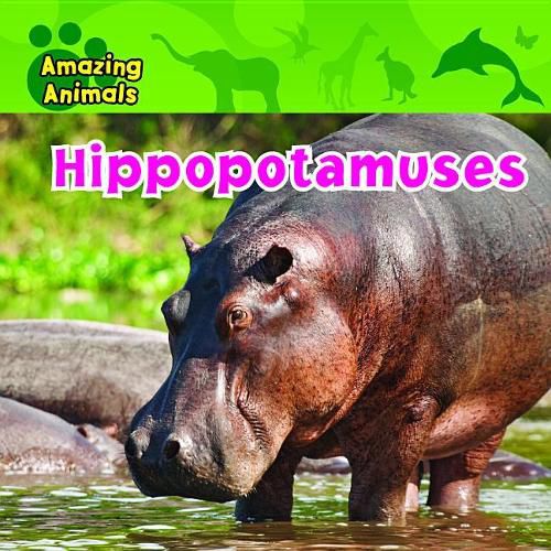 Cover image for Hippopotamuses