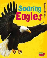 Cover image for Soaring Eagles (Walk on the Wild Side)