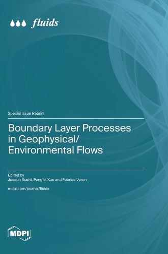 Boundary Layer Processes in Geophysical/Environmental Flows