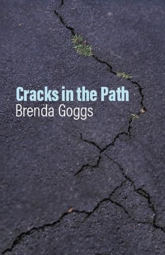 Cover image for Cracks in the Path