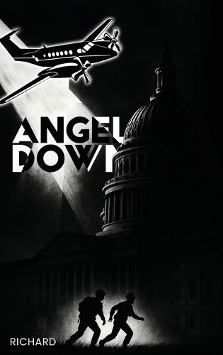 Cover image for Angel Down