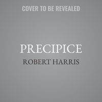 Cover image for Precipice