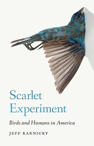 Cover image for Scarlet Experiment: Birds and Humans in America